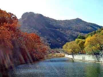 管家婆黑白马报图库，gal芯片